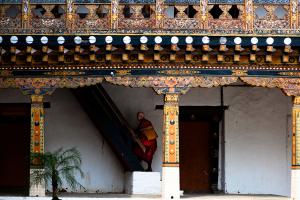Punakha Dzong Ladder