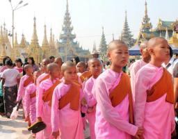 Shwedagon Pagoda Little Monks