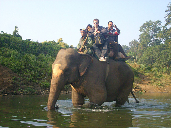 Elephant Safari Adventure