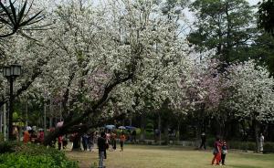 Shuzhuang Garden Spring