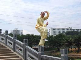 Southern Shaolin Temple View