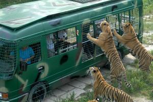 Shenzhen Safari Wildlife Park Tour