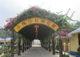 Xiaomeisha Beach Garden