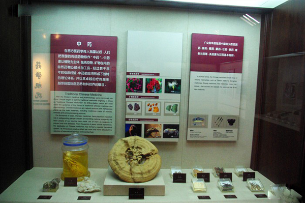 Hu Qing Yu Tang TCM Museum Herbs Sample