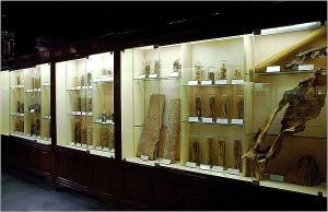 Hu Qing Yu Tang TCM Museum Storage
