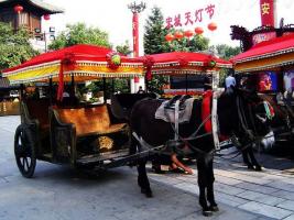 Song Dynasty City Carriage