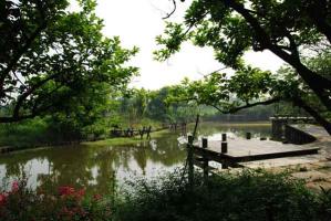 Xixi Wetlands Sight