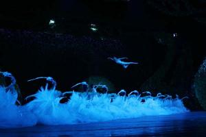 Shanghai Acrobatics Show Flying Dance