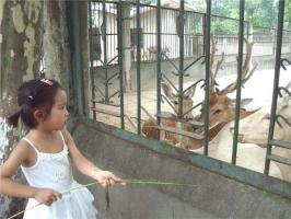 Chengdu Zoo In China