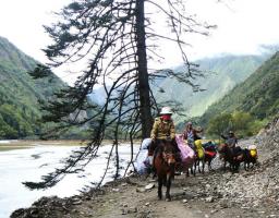 Garze Gongga Mountain Visitors
