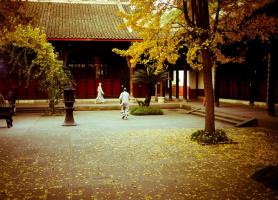 Wenshuyuan Temple In Autumn