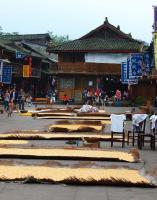 Yaan Shangli Ancient Town