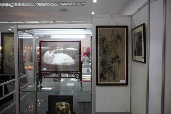 Suzhou Embroidery Research Institute Indoor View