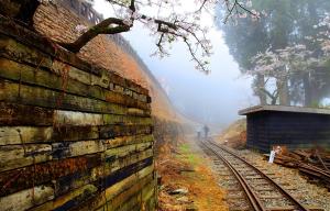 Taiwan Alishan Forest Railway