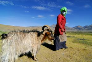 Chiangtang Plateau Woman
