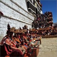 Lama in Gandan Temple