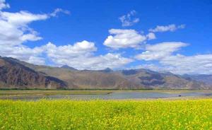 Lhasa River Flowers