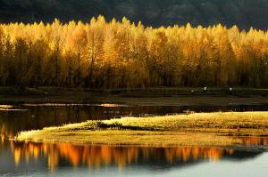 Lhasa River Autumn