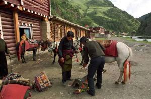 Tibetan Ethnic Resident