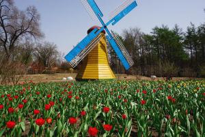 Harbin Forest Park Windmill