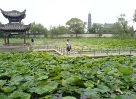Iron Pagoda Park