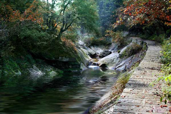 Resultado de imagem para Parque Nacional Longyuwan Forest