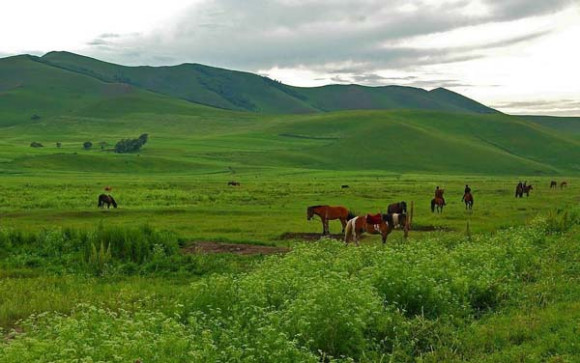 Xiahe Sangke Prairie Grassland