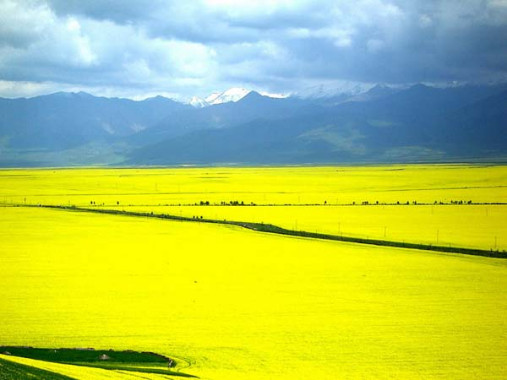 Xiahe Sangke Prairie