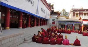 Xining Taer Temple Lama