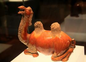 Xian Shaanxi Museum Camel Collection