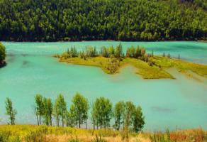 Altay Kanas Lake Scence