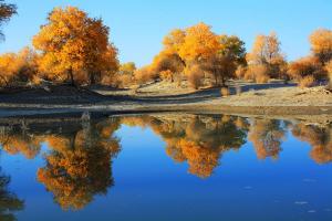 Tarim Diversifolious Poplar Forest Park Lake