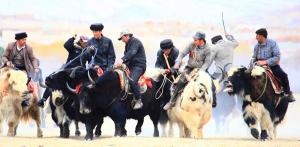 The Pamirs Horse Race