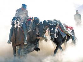  The Pamirs Horse Racing