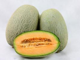 Xinjiang Hami Melons