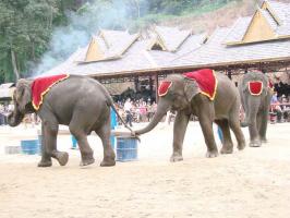 Jinghong Wild Elephant Valley Sight Tour