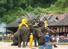 Jinghong Wild Elephant Valley Tour