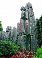 Kunming Stone Forest Sightseeing
