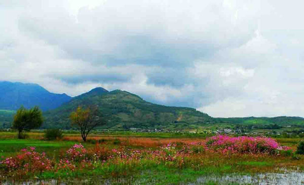 Lijiang Lashihai Wet Land View