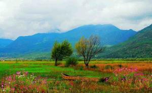 Lijiang Lashihai Wet Land Scene
