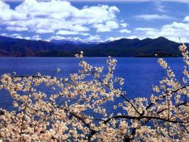 Lijiang Lugu Lake Scenery