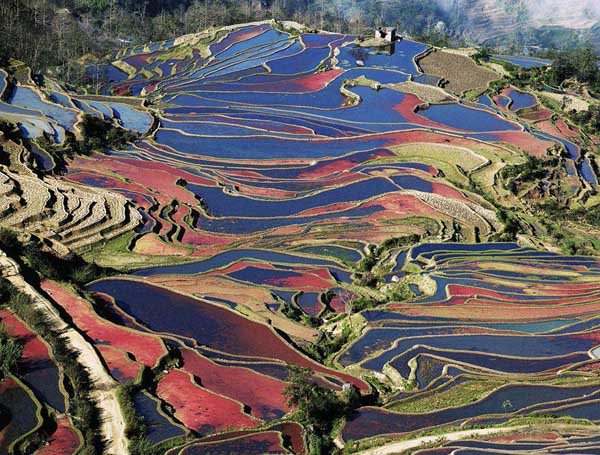 Honghe Yuanyang Hani Terraces View