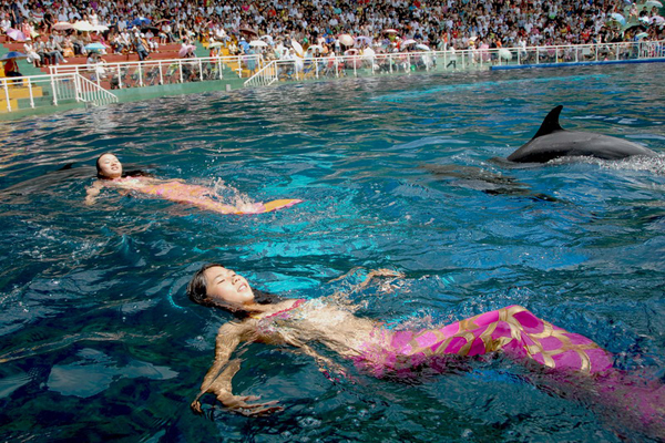 Shenzhen Safari Wildlife Park Dolphin Performance