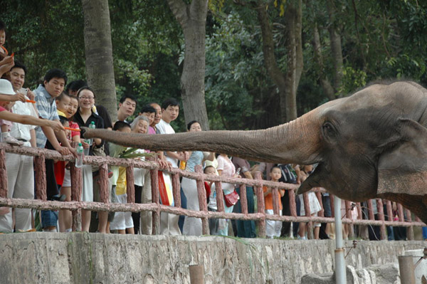 Shenzhen Safari Wildlife Park View 
