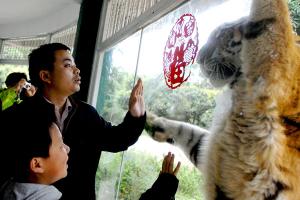 Shenzhen Safari Wildlife Park Indoor Scene