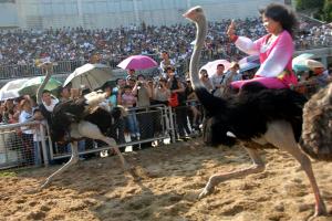 Shenzhen Safari Wildlife Park Ostrich