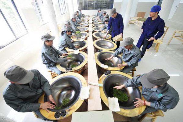 China Tea Museum Tea Making