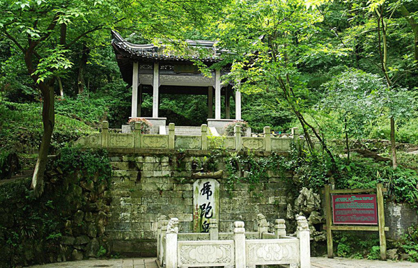 Dreaming of the Tiger Spring Sight