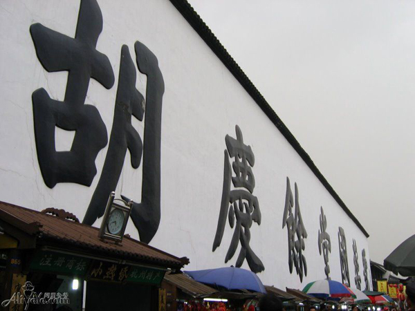 Hu Qing Yu Tang TCM Museum Scene