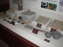 Hu Qing Yu Tang TCM Museum Herbal Sample